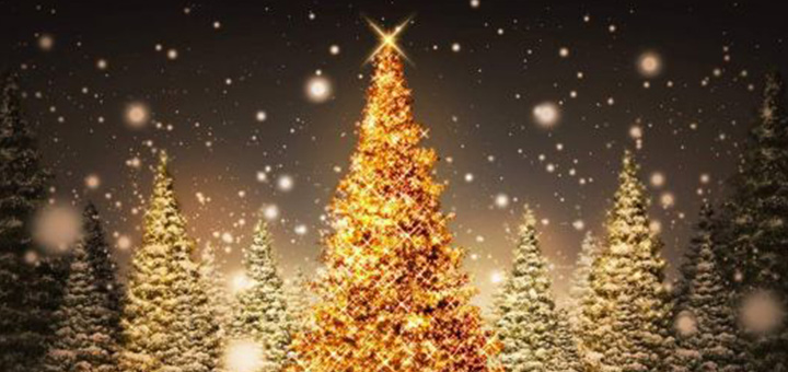 omeopatia-salute-allergia-albero-natale