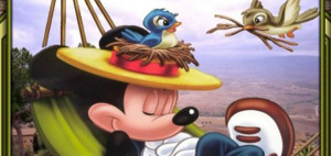 omeopatia-salute-pennichella-toccasana-nottambuli