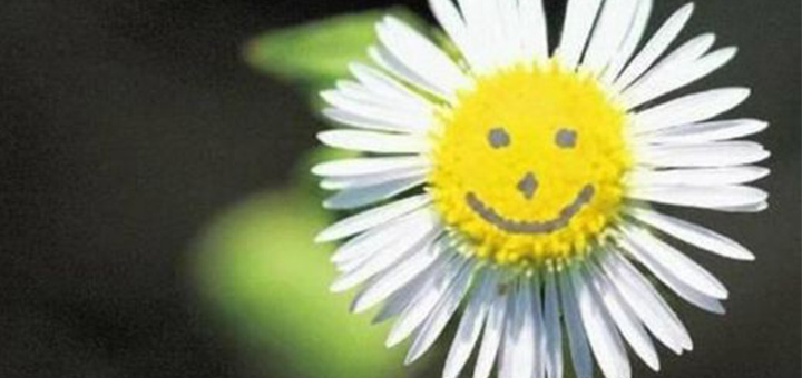 omeopatia-salute-felicita'