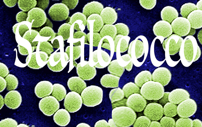 x877_Stafilococco.jpg.pagespeed.ic.6jpbq7k6RO