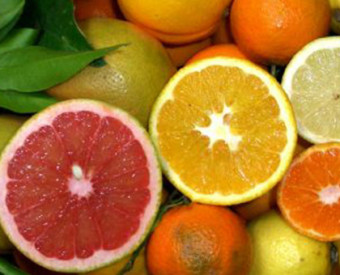 omeopatia-salute-agrumi-ricchi-vitamina-c