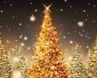 omeopatia-salute-allergia-albero-natale