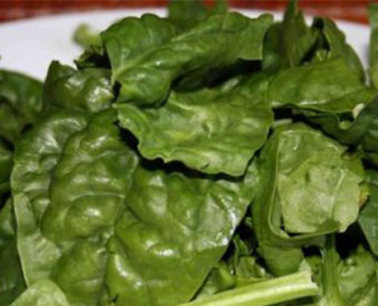 omeopatia-salute-ferro-sindrome-premestruale