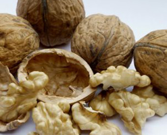 omeopatia-salute-magnesio