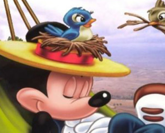 omeopatia-salute-pennichella-toccasana-nottambuli