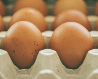 omeopatia-salute-uova-calorie-e-proteine