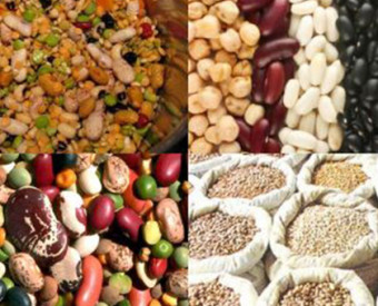 omeopatia-salute-legumi