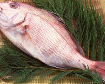 omeopatia-salute-mangiare-pesce-evita-il-diabete