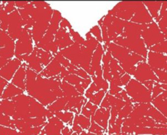 omeopatia-salute-vitamina-D-per-il-cuore