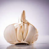 Garlic allium sativum white condiment  relish flavouring garlic bulblet garlic clove Wild garlic hot pungent