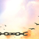 ZGEkNZmYCOFJSzd-800x450-noPad