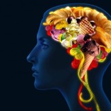 con_h_25.c006-8483_web.630x360